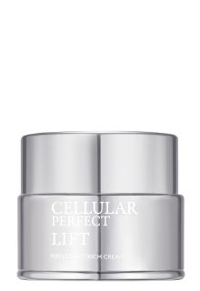 Насыщенный лифтинг-крем для лица и шеи Perfect Lift Rich Cream