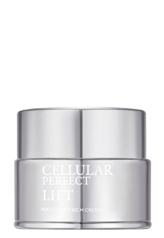 Perfect Lift Rich Cream — насыщенный лифтинг-крем для лица и шеи (Swiss Perfection)